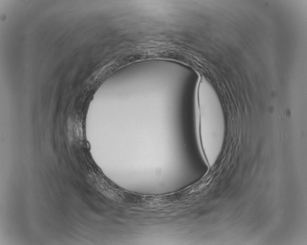 X0000070351155200606090821