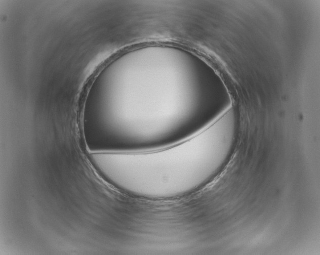 X0000070351168200606090820