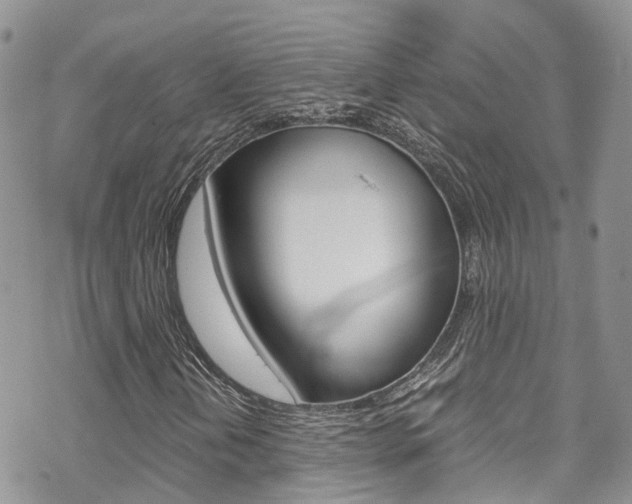X0000070351202200606090819