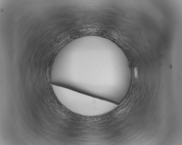 X0000070351203200606090819