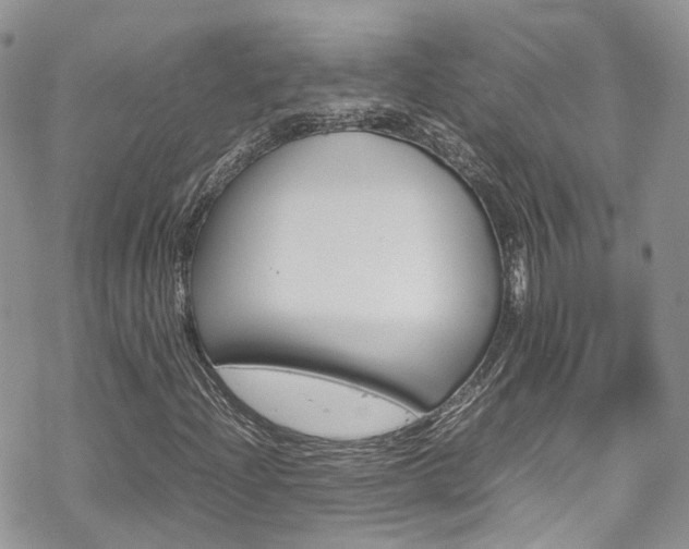 X0000070351204200606090819
