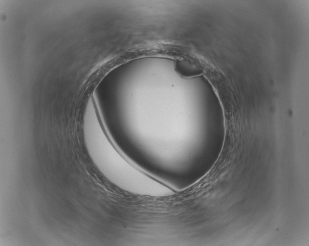 X0000070351206200606090819