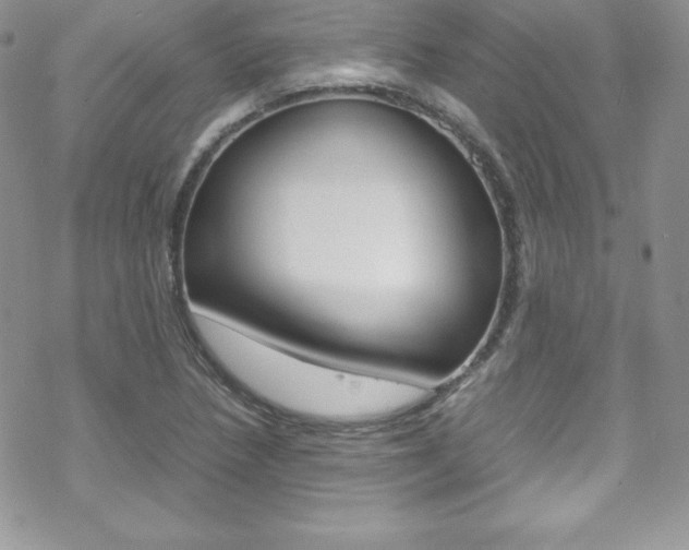 X0000070351218200606090819