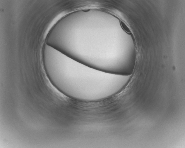 X0000070351243200606090820