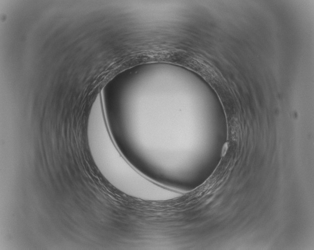 X0000070351298200606090818