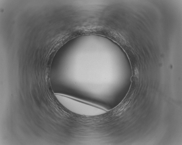 X0000070351300200606090818
