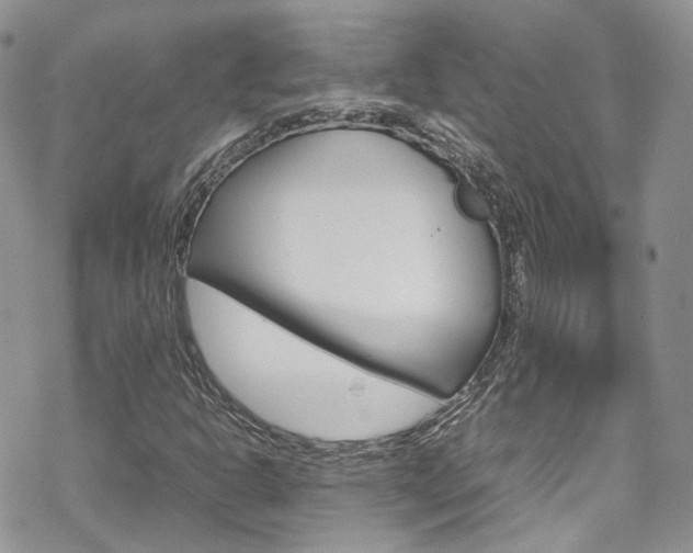 X0000070351302200606090818