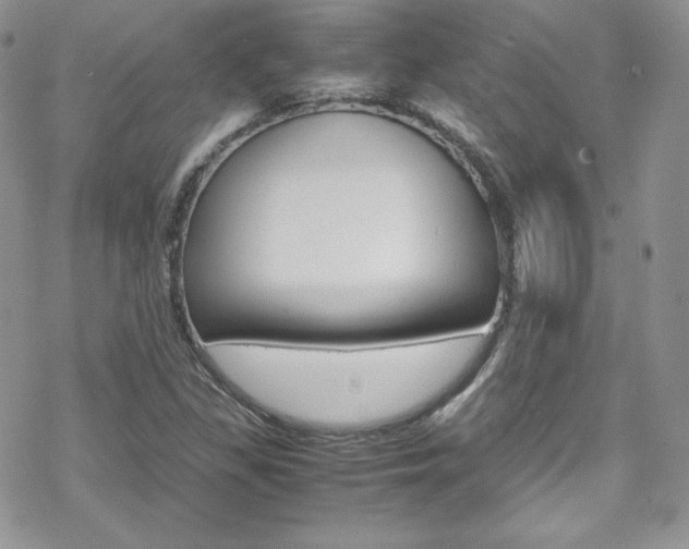 X0000070351309200606090818