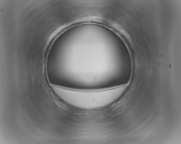 X0000070351316200606090818