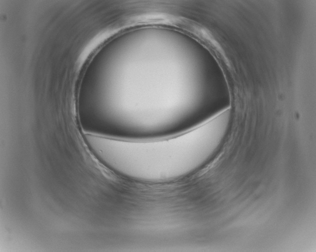X0000070351328200606090818