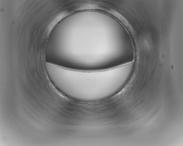 X0000070351337200606090818