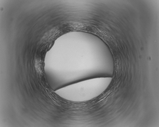 X0000070351346200606090818
