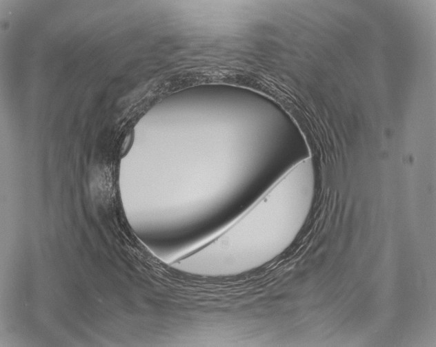 X0000070351347200606090818