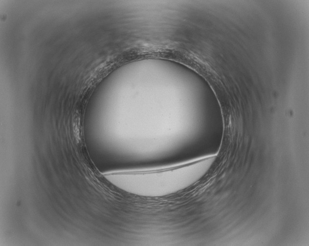 X0000070351348200606090818