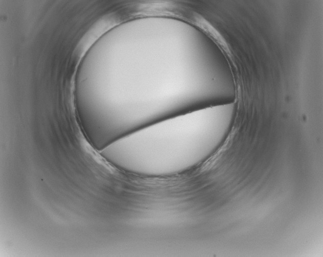 X0000070351386200606090817
