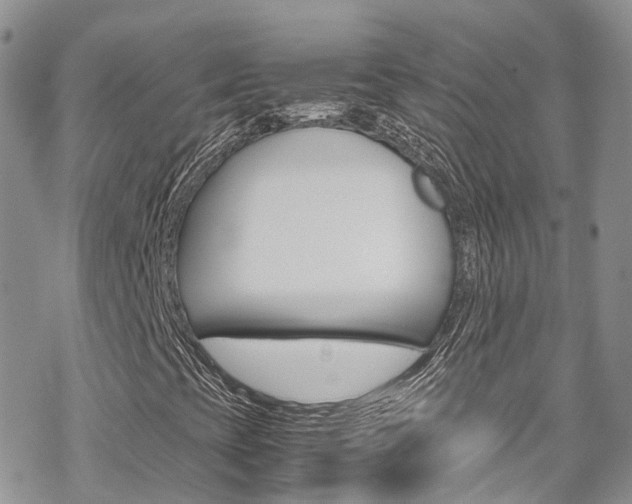 X0000070351393200606090816
