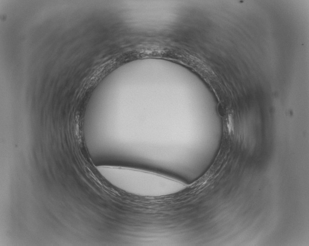 X0000070351396200606090816