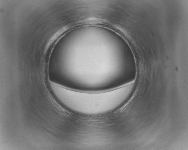 X0000070351410200606090816