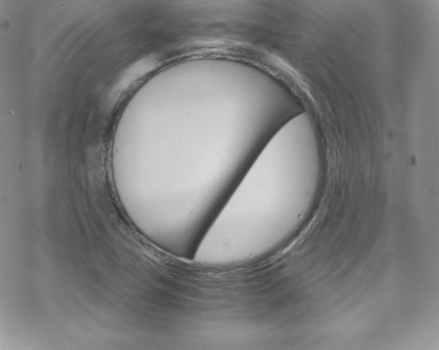 X0000070351411200606090816