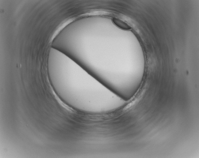X0000070351425200606090817