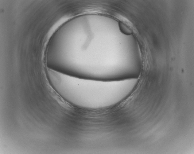 X0000070351427200606090817