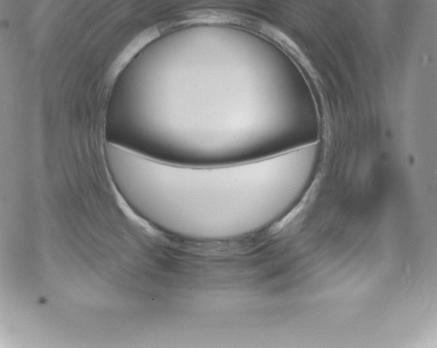 X0000070351433200606090817
