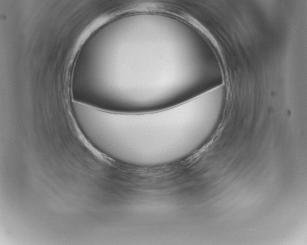 X0000070351437200606090817