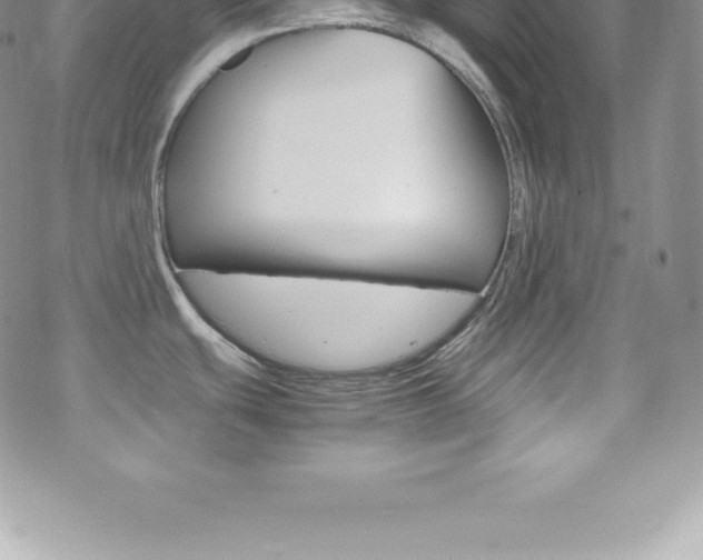 X0000070351439200606090817