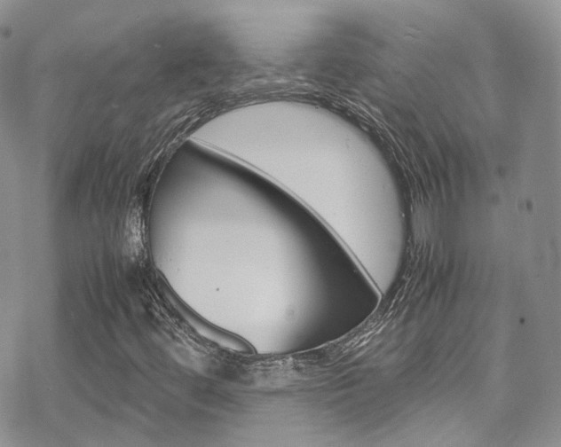 X0000070351444200606090816