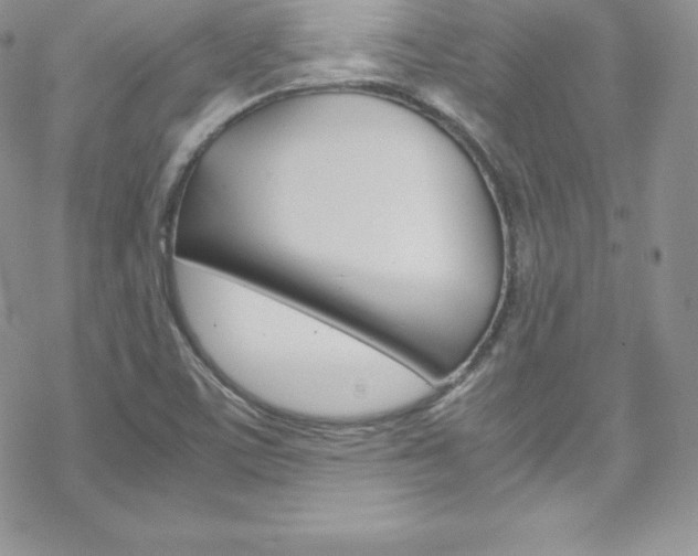 X0000070351459200606090816