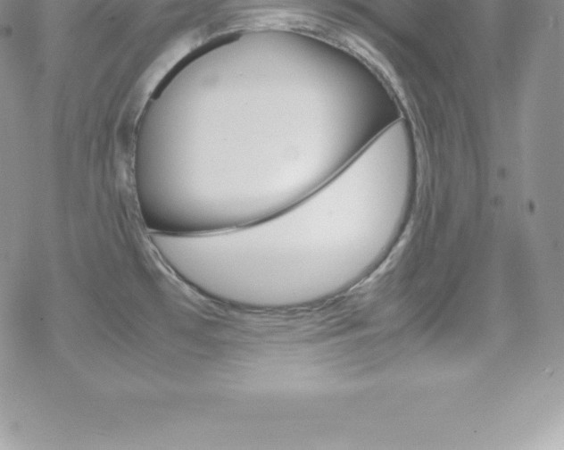 X0000070351481200606090815
