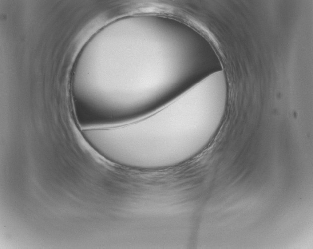 X0000070351483200606090815