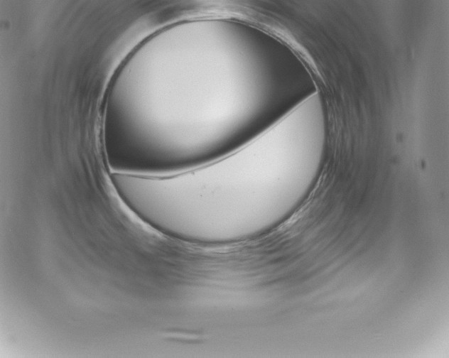 X0000070351484200606090815