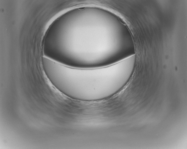 X0000070351534200606090815