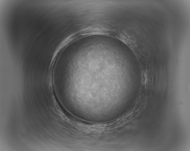X0000070350004200606091104