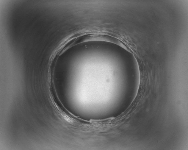 X0000070350005200606091104