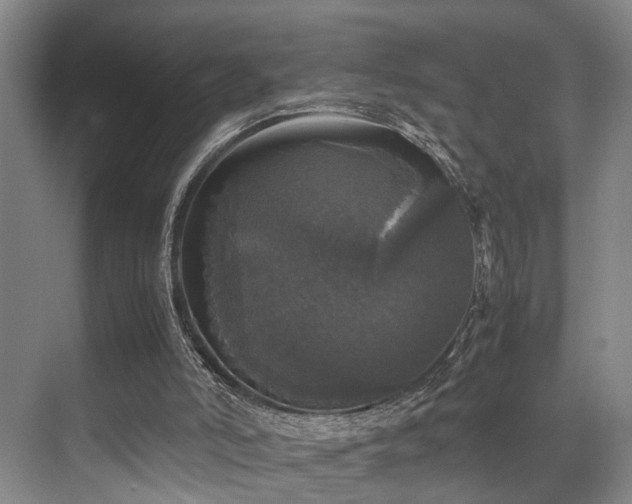 X0000070350006200606091104