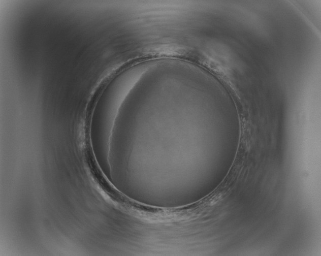 X0000070350012200606091104