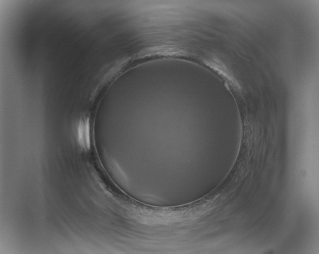 X0000070350014200606091104