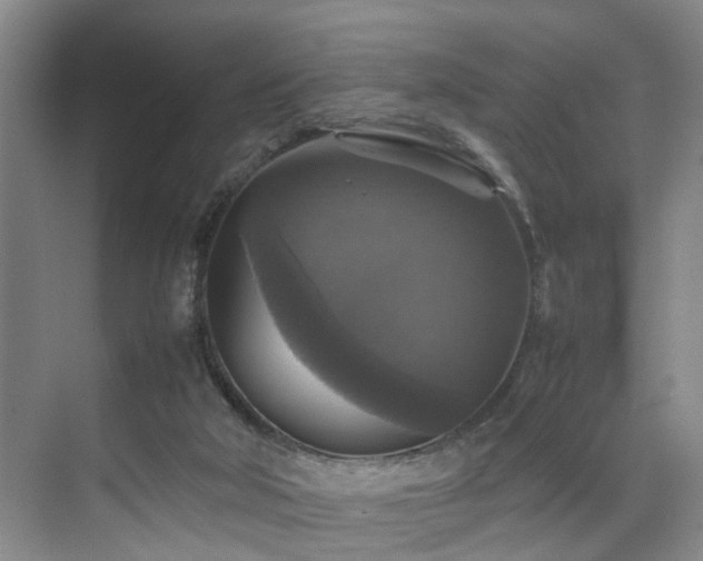 X0000070350018200606091104