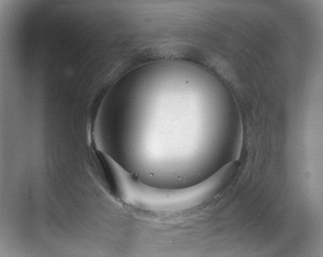 X0000070350021200606091104