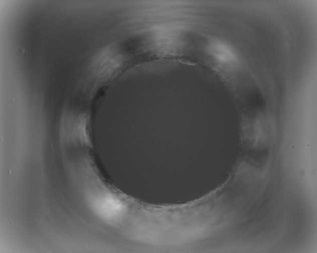 X0000070350029200606091104