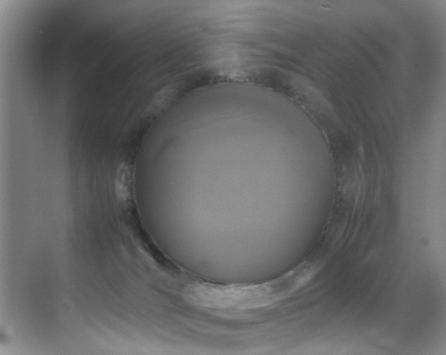 X0000070350036200606091103