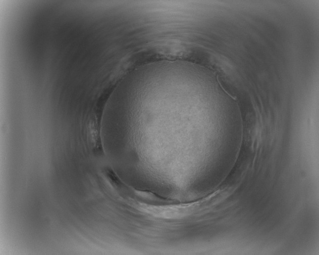 X0000070350040200606091103