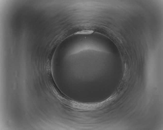 X0000070350048200606091103