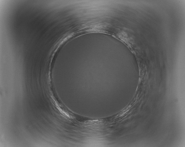 X0000070350050200606091102