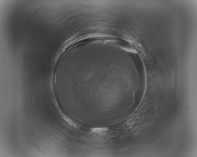 X0000070350051200606091102