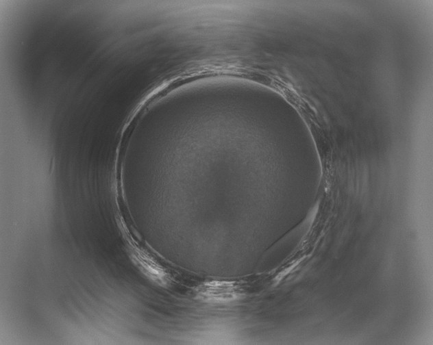 X0000070350052200606091102