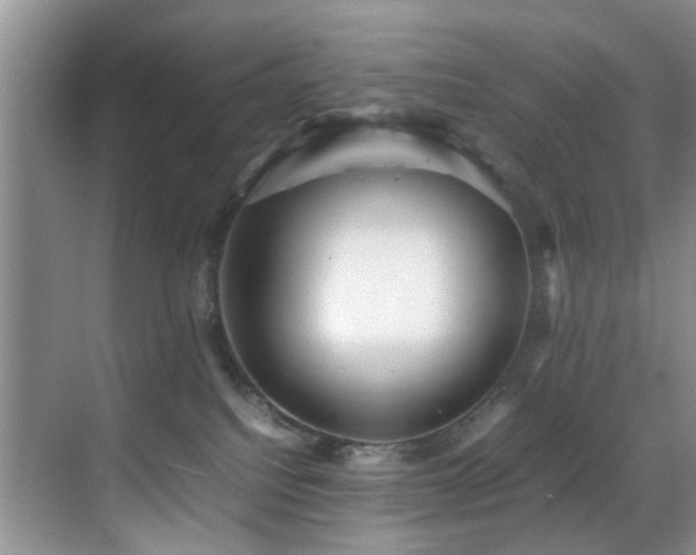 X0000070350088200606091103
