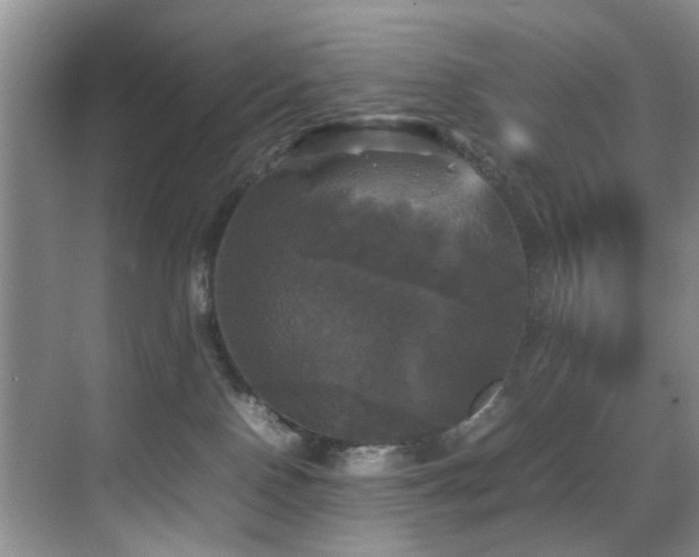 X0000070350090200606091103